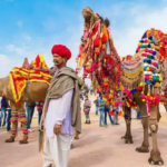 Pushkar Fair 2025